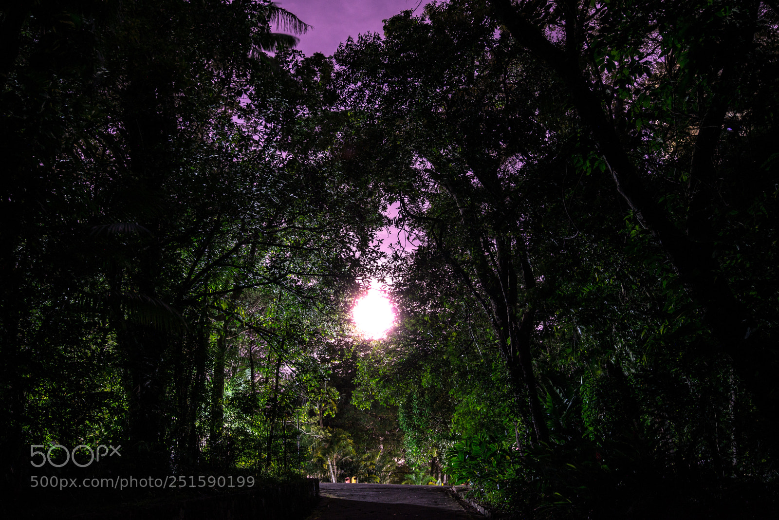 Nikon D800E sample photo. Amazon full moon photography