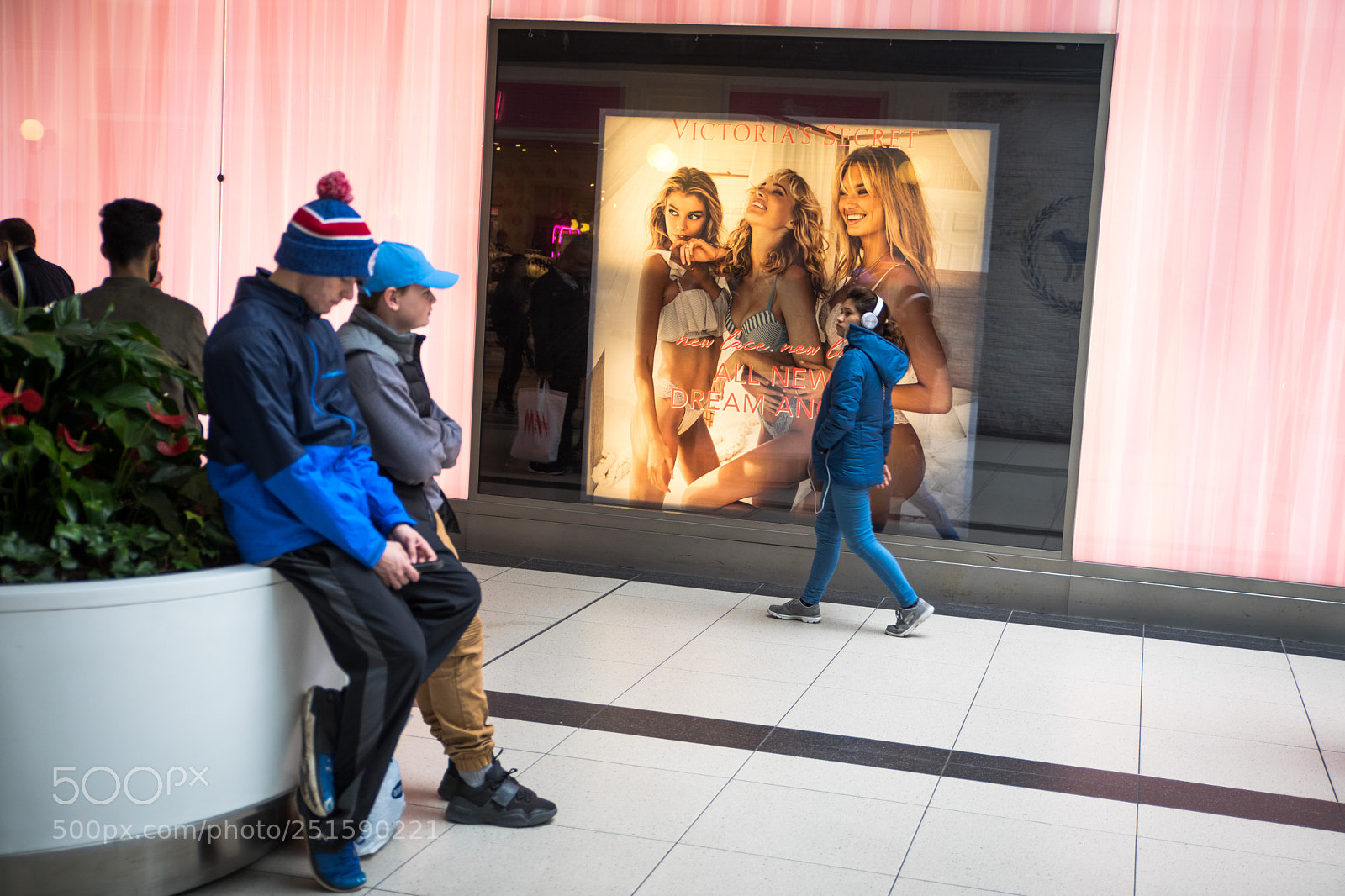 Canon EOS 5D Mark IV sample photo. Distraction photography