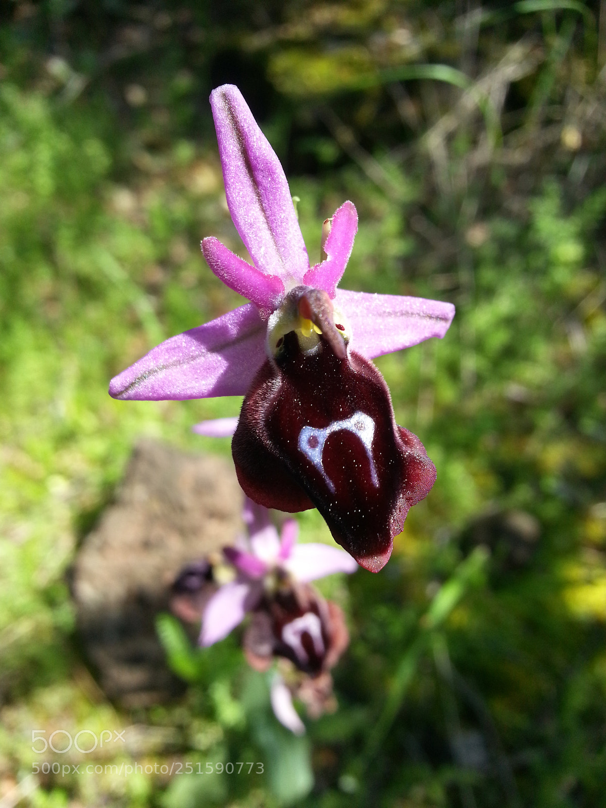 Samsung Galaxy Note2 sample photo. Untitled photography