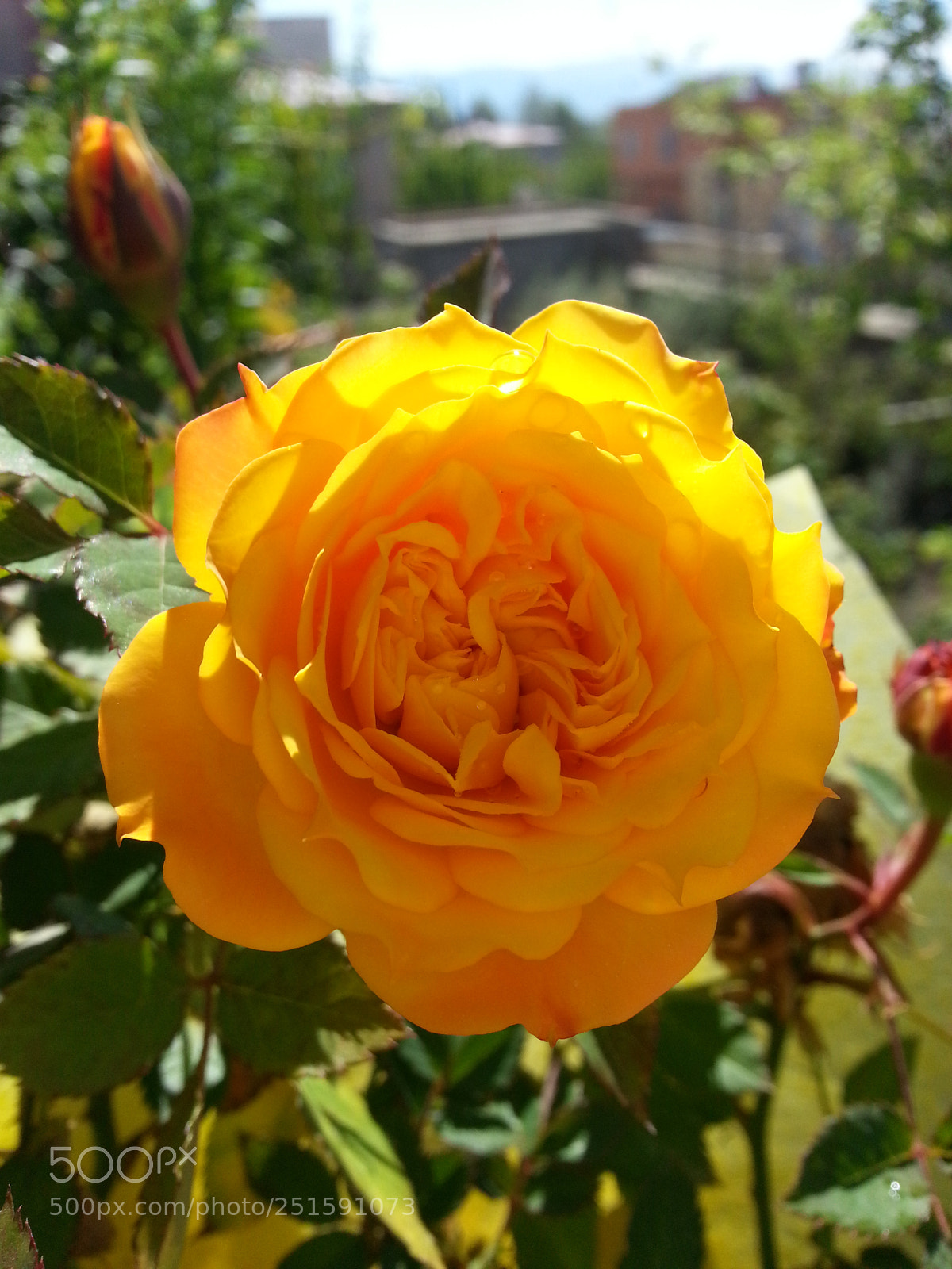 Samsung Galaxy Note2 sample photo. Untitled photography