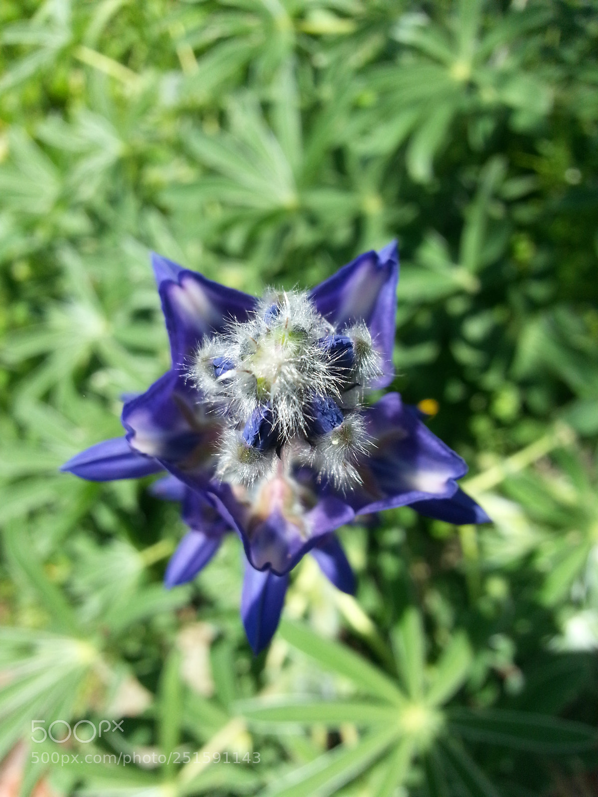 Samsung Galaxy Note2 sample photo. Untitled photography