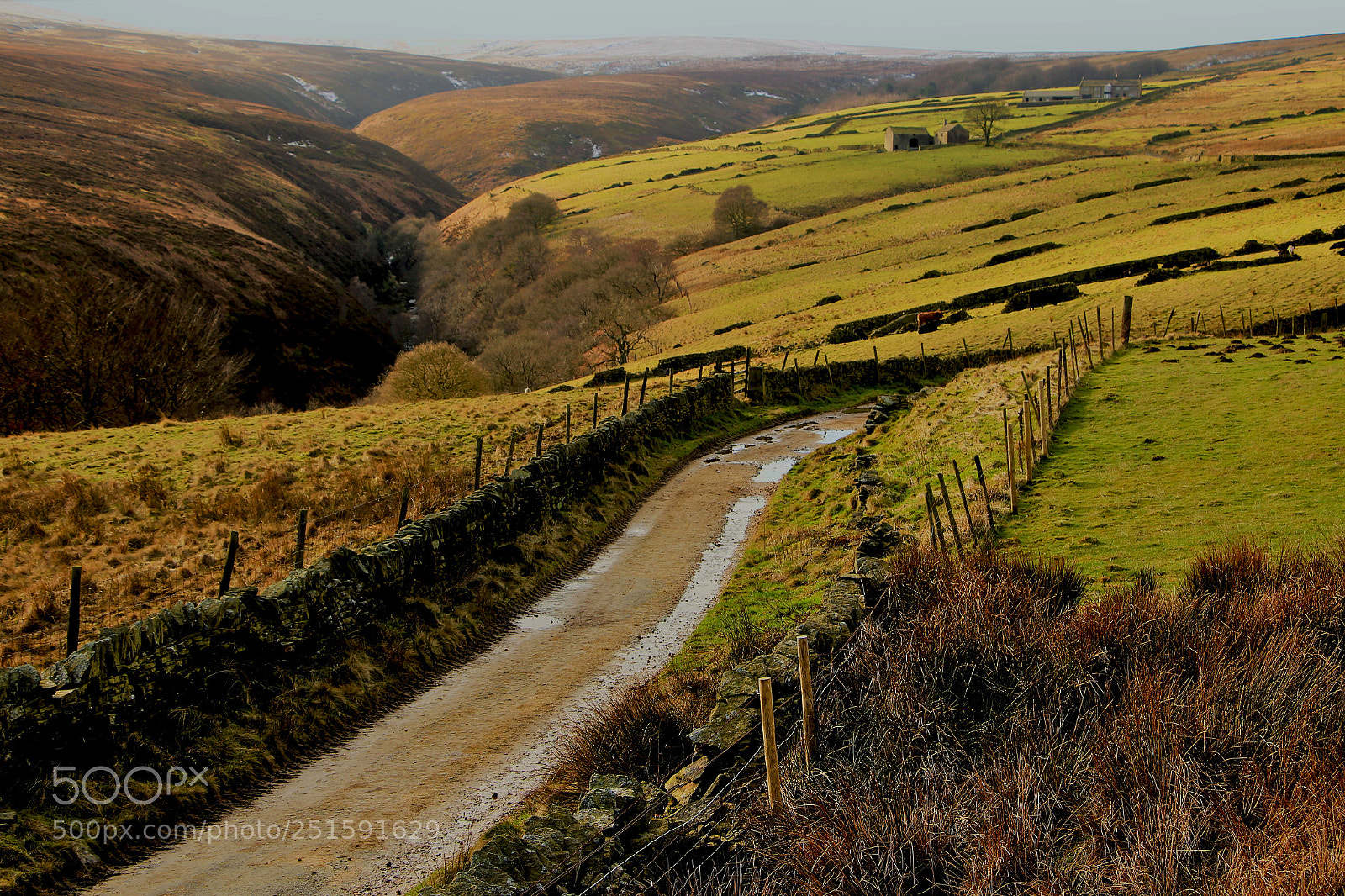 Canon EOS 100D (EOS Rebel SL1 / EOS Kiss X7) sample photo. Moorland way photography
