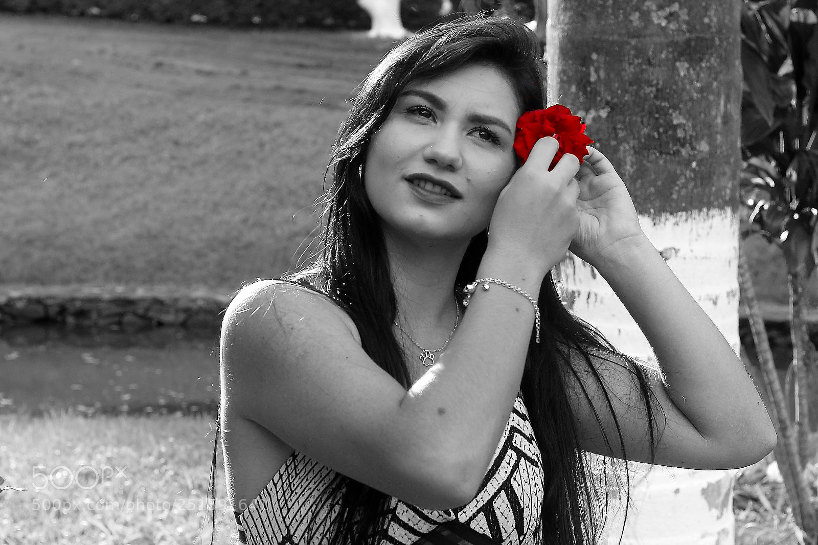 Canon EOS 700D (EOS Rebel T5i / EOS Kiss X7i) sample photo. Ensaio photography