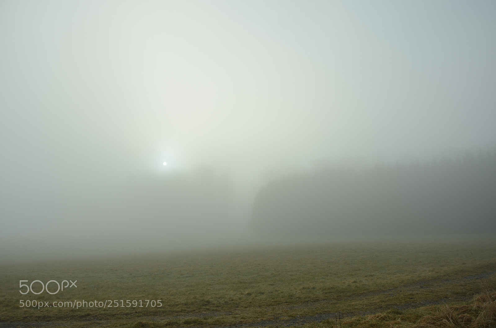 Nikon D5100 sample photo. A dreamlike sunrise photography