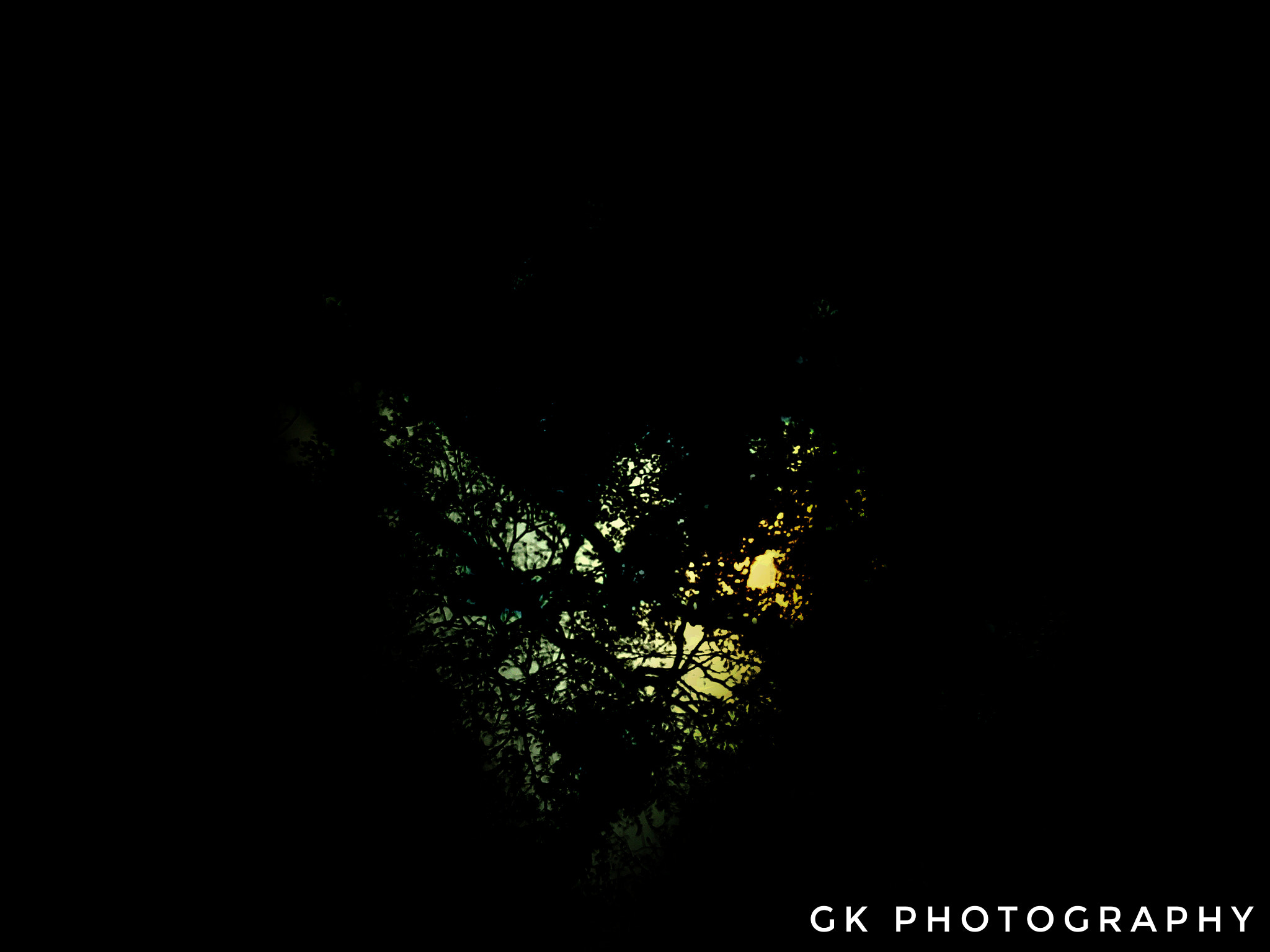 vivo 1601 sample photo. Love photography