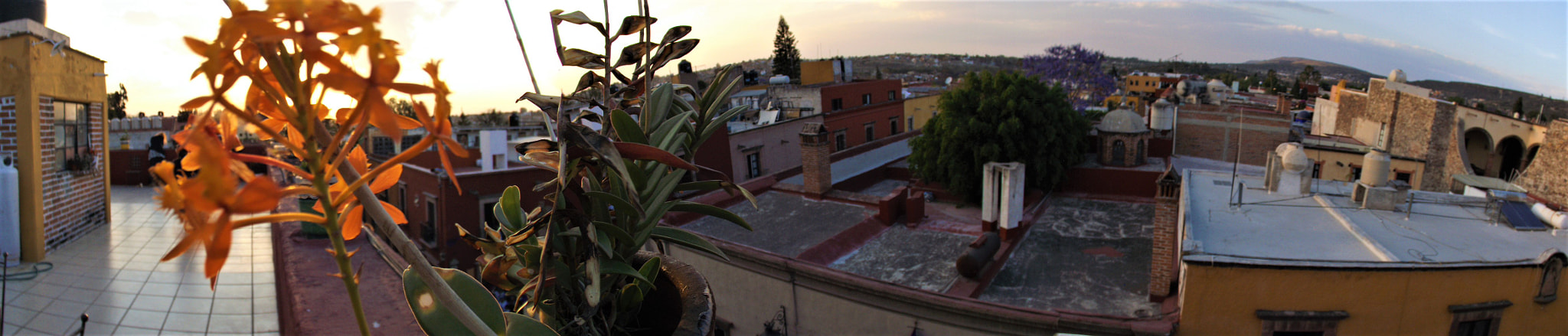 Fujifilm FinePix S4800 sample photo. Rooftops in downtown san miguel photography