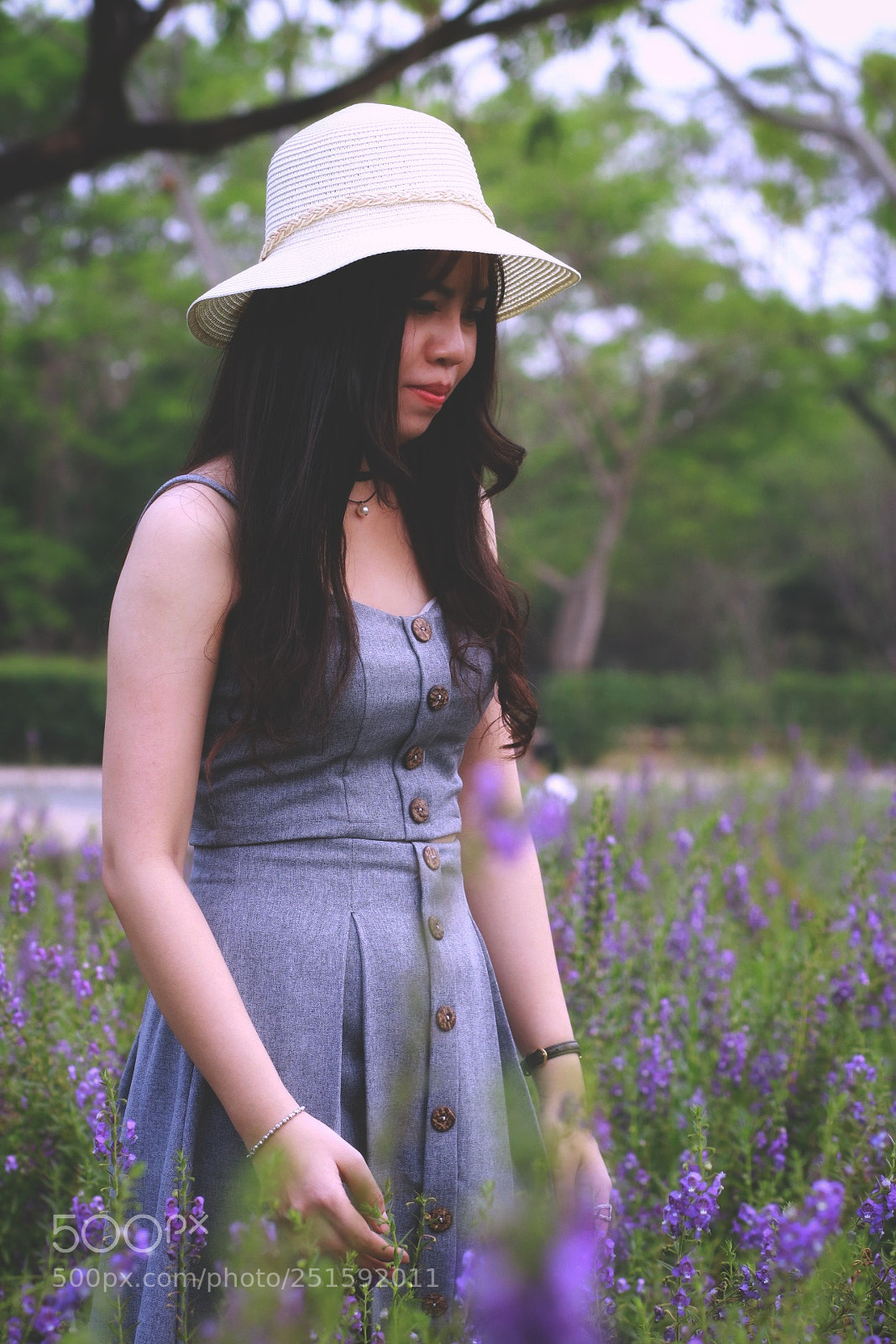 Canon EOS 750D (EOS Rebel T6i / EOS Kiss X8i) sample photo. Untitled photography