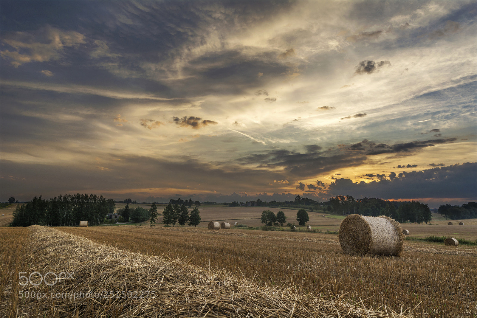Nikon D5200 sample photo. Field photography