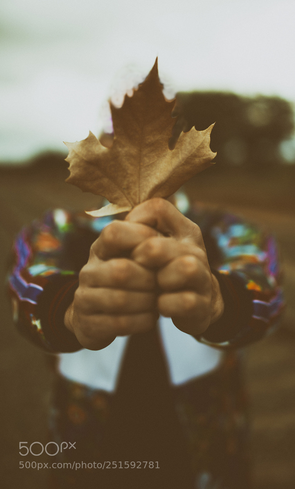 Nikon D800 sample photo. Untitled photography