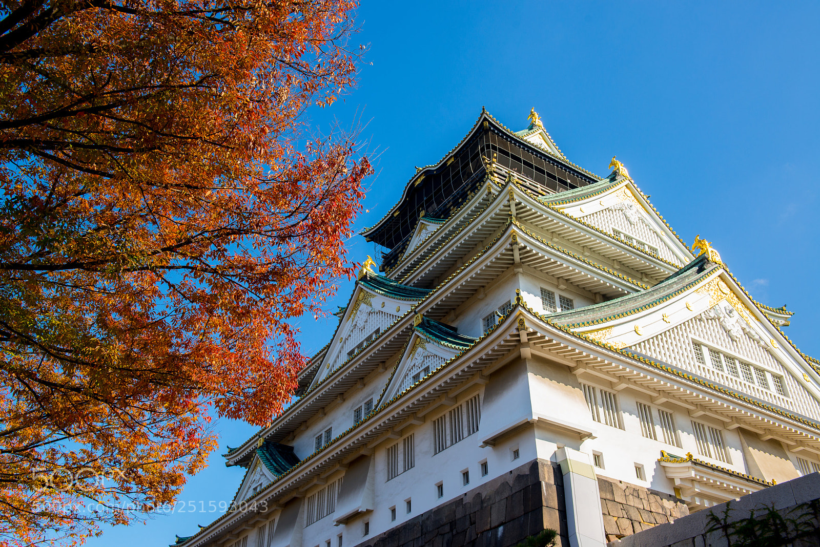 Nikon D600 sample photo. Japan photography