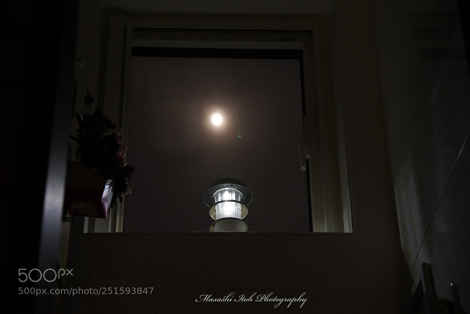 Nikon D610 sample photo. Lights photography