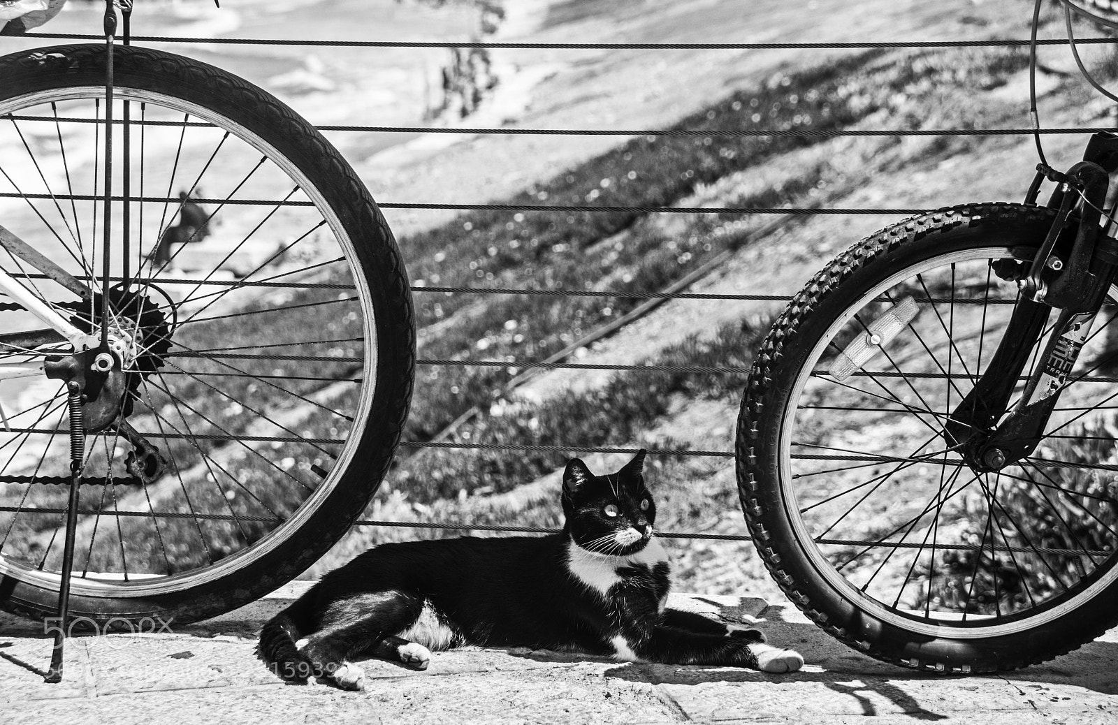 Nikon D7100 sample photo. !!! photography