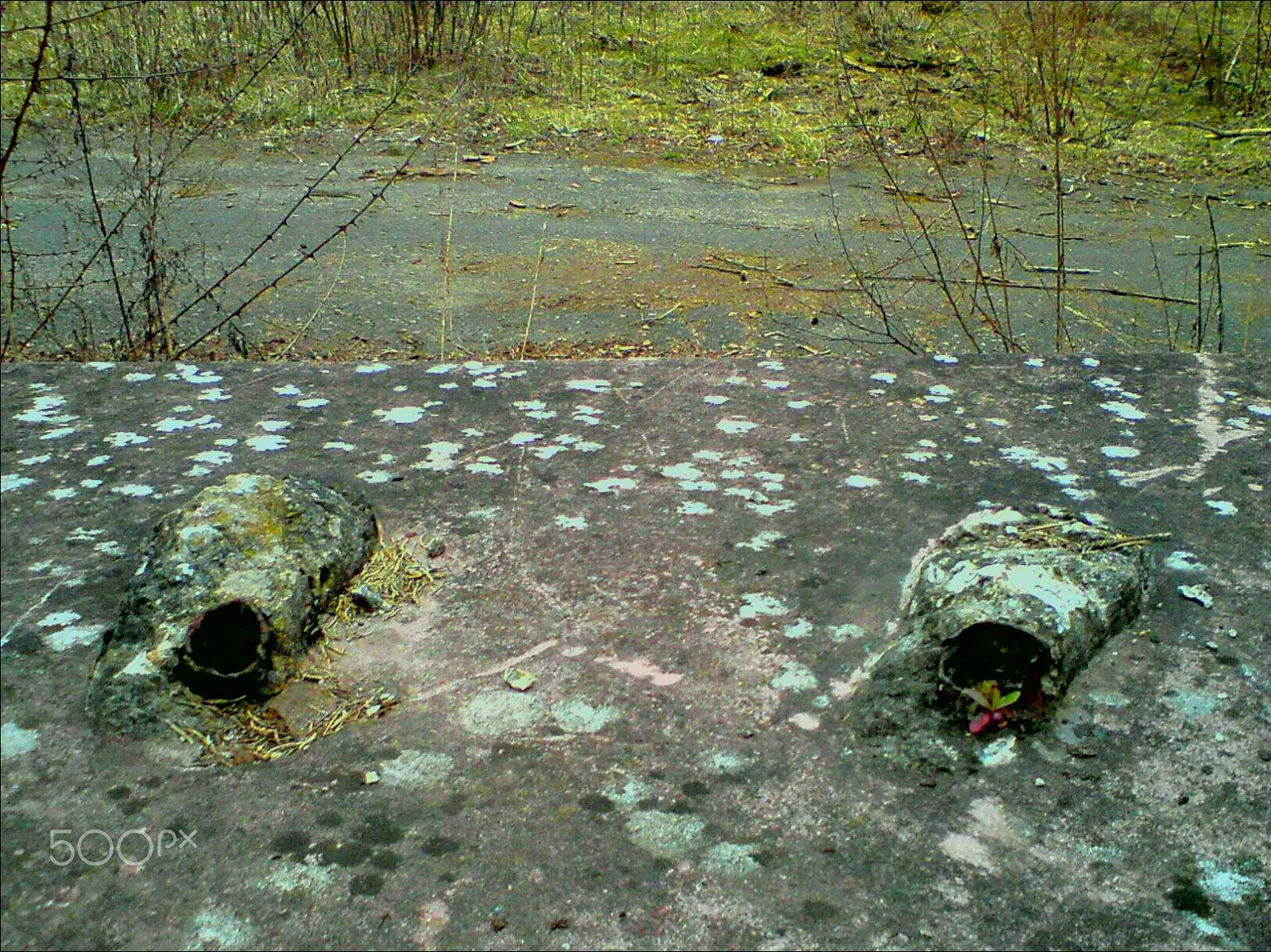 Sony Ericsson C510 sample photo. Somebody else's moccassins photography