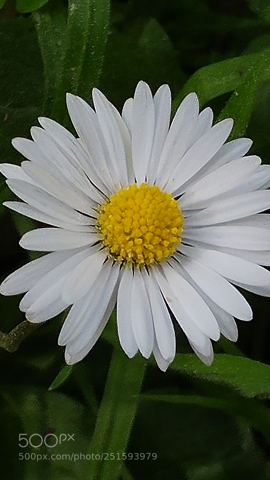 LG G5 sample photo. Untitled photography