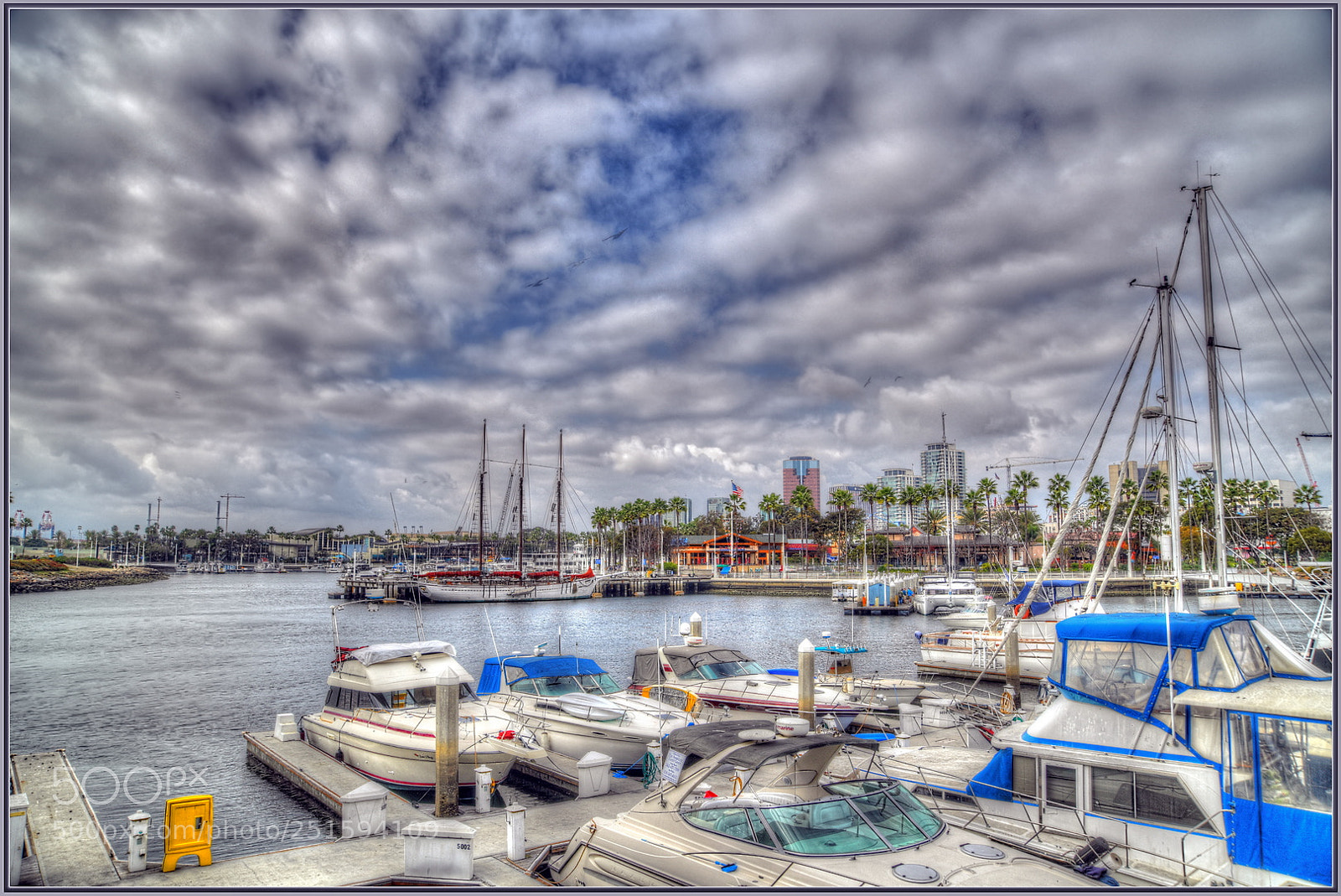 Nikon D850 sample photo. Rainbow harbor, lb photography