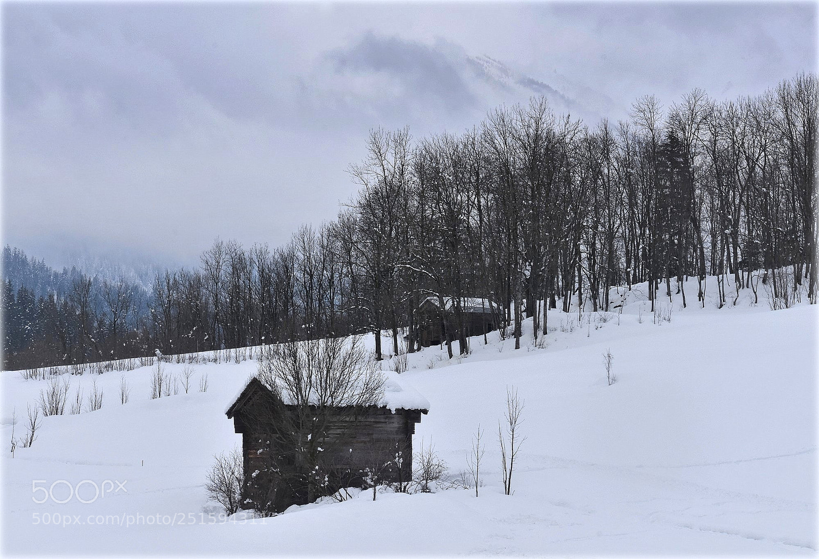 Nikon D7200 sample photo. "en peu fiesch;valais,;" photography