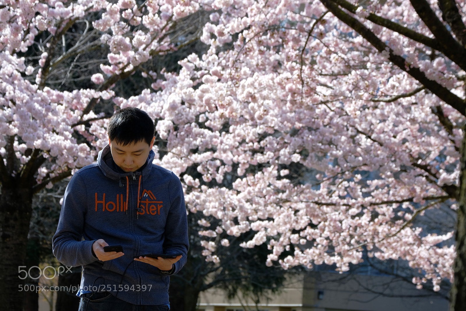 Fujifilm X-Pro2 sample photo. Life with blossoms photography