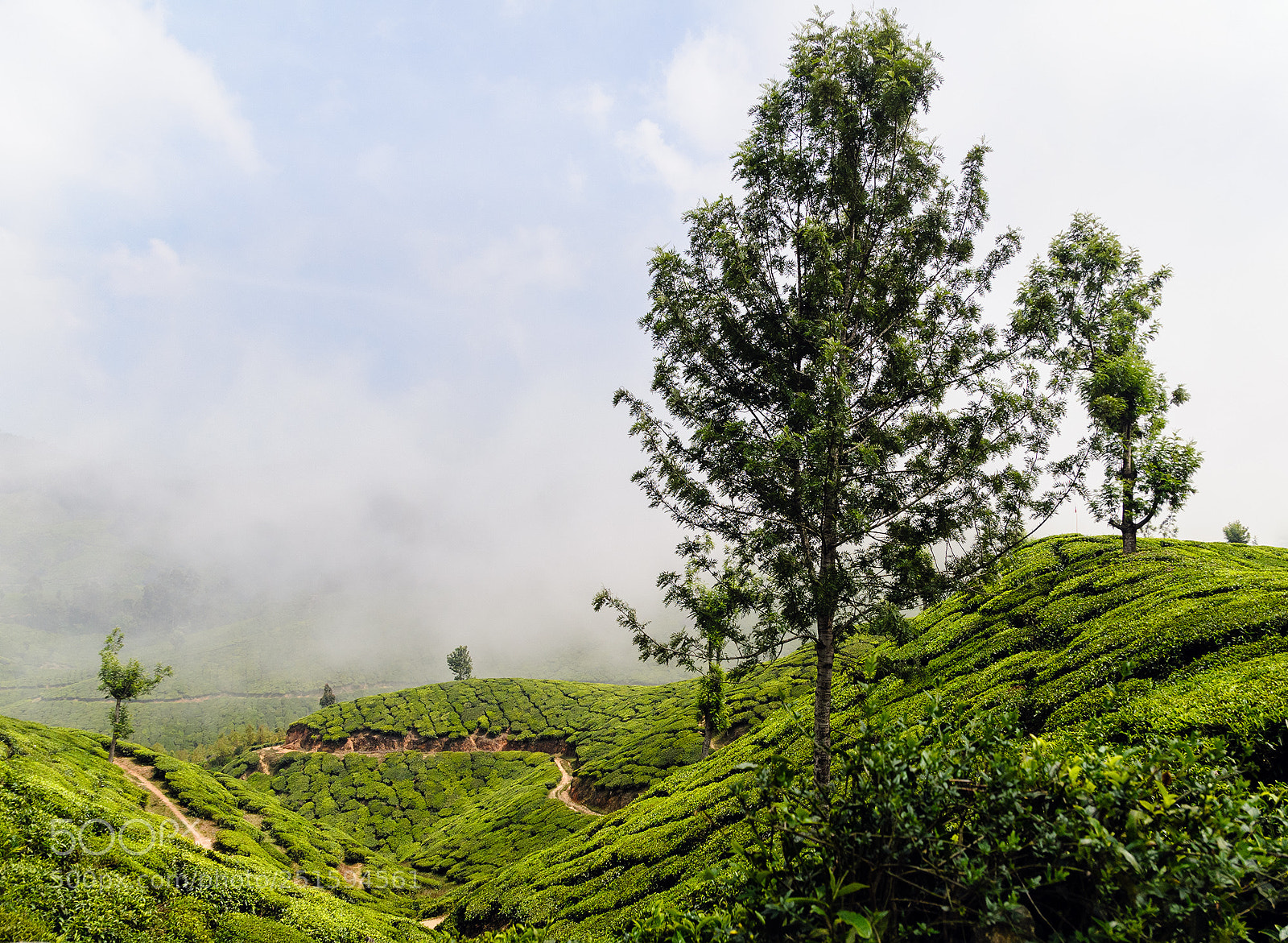Nikon D300 sample photo. Midday fog 1 photography