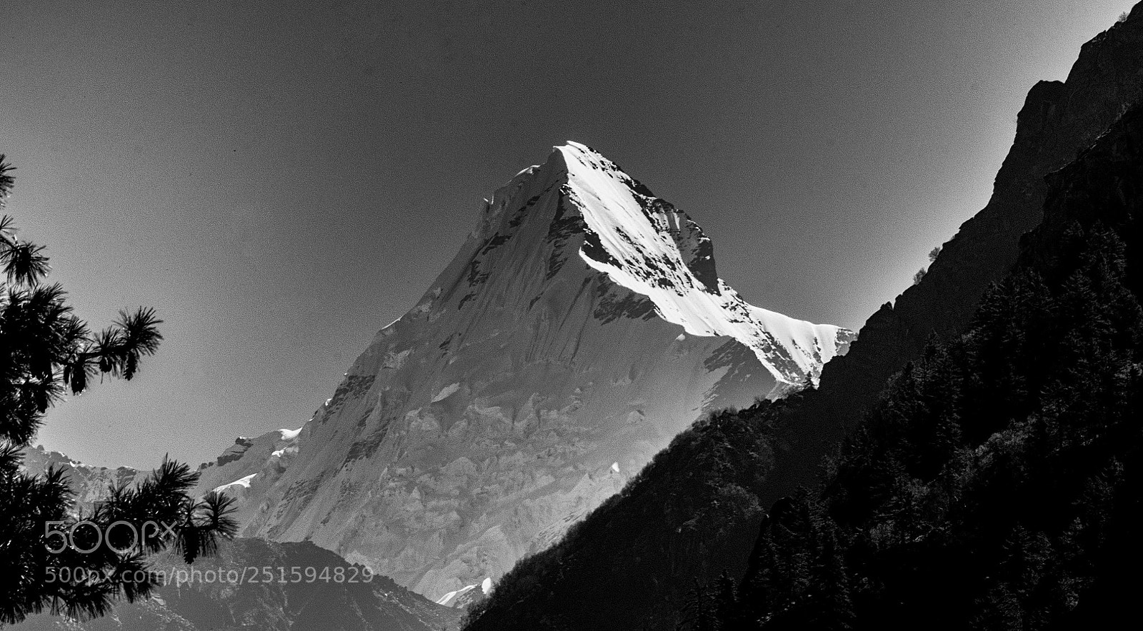 Nikon D5100 sample photo. Mt. sudarshan from gangotri photography