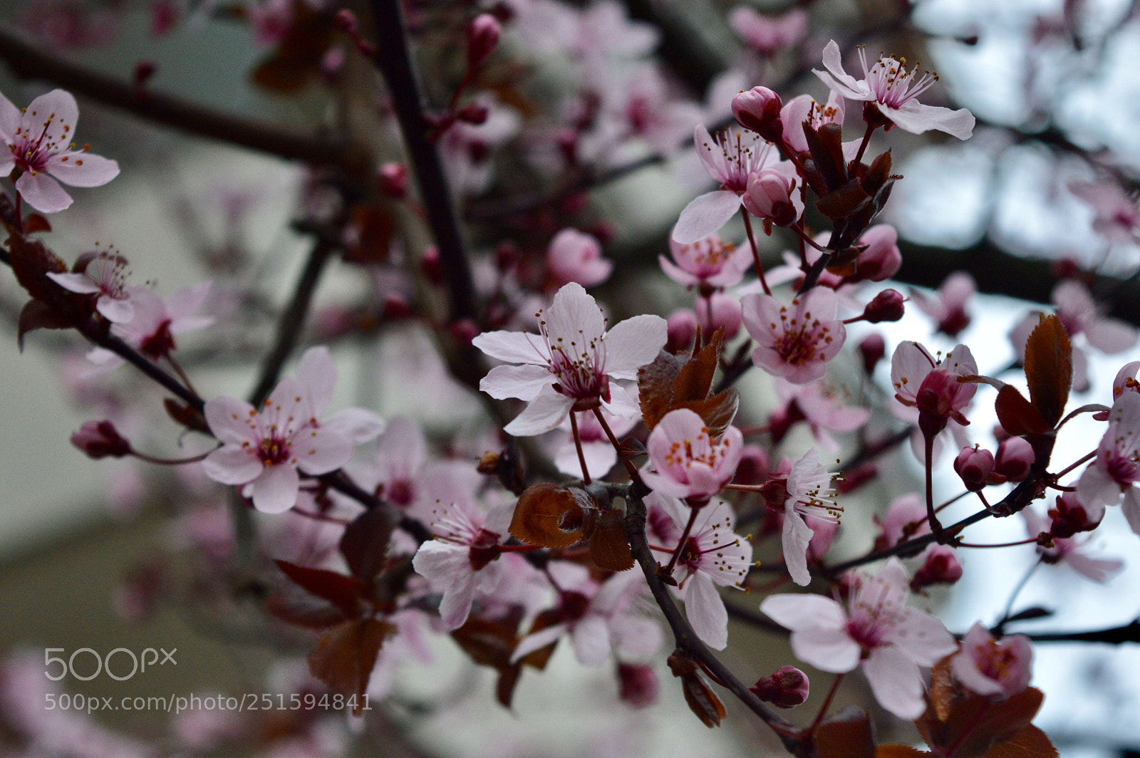 Nikon D3200 sample photo. Untitled photography
