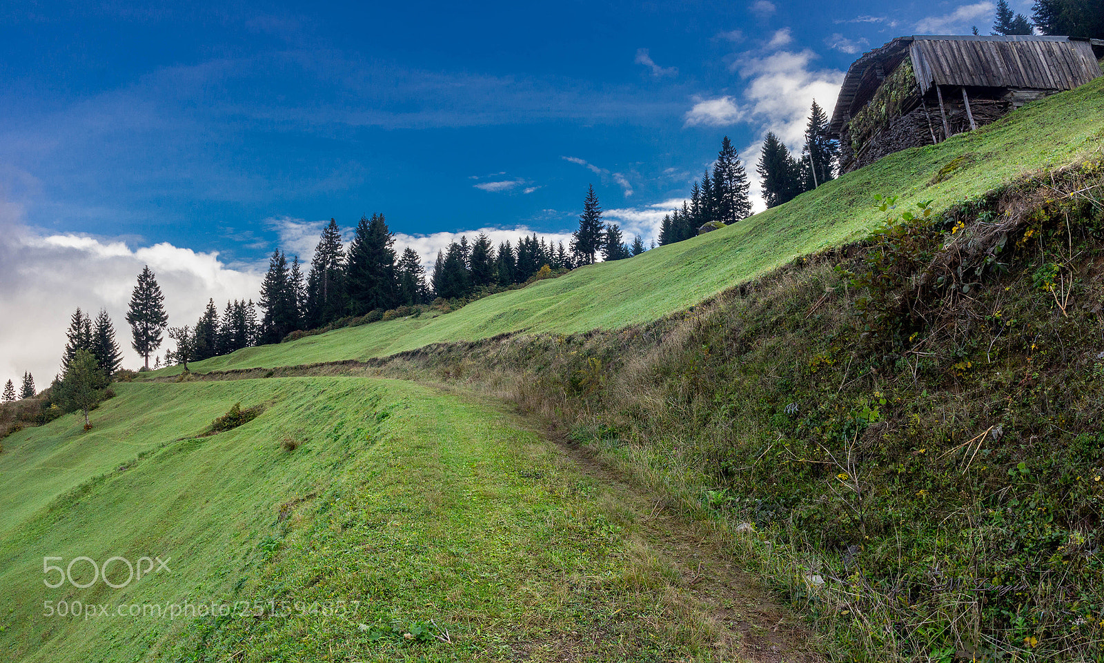 Canon EOS 60D sample photo. Long road photography