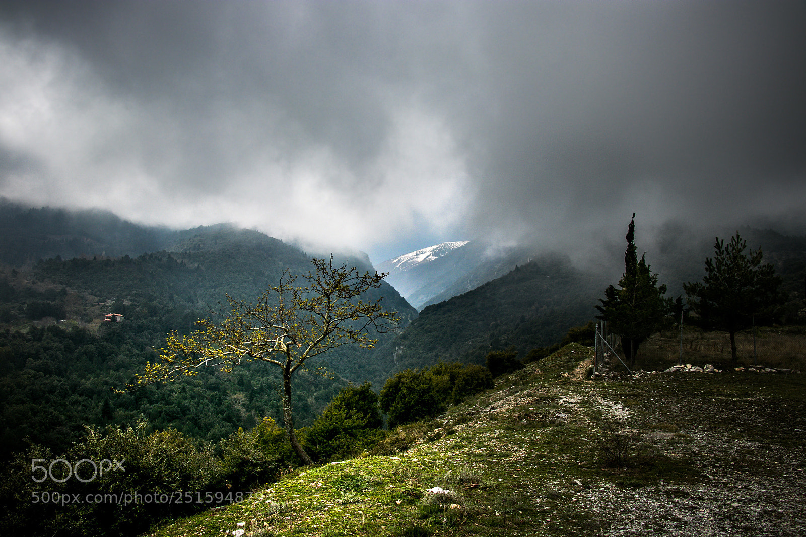 Canon EOS 80D sample photo. Olympos photography