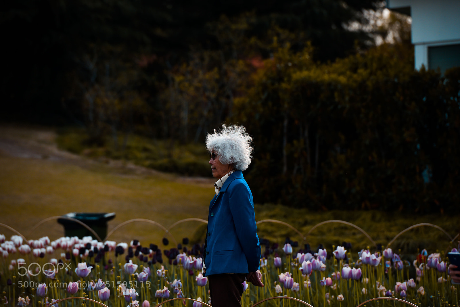 Nikon D810 sample photo. Untitled photography