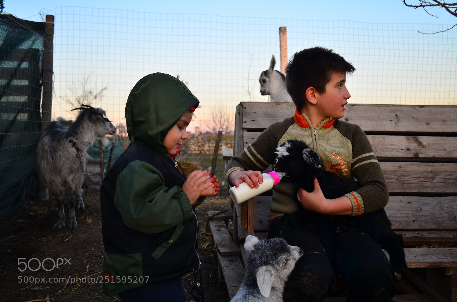 Nikon D5100 sample photo. Life in the countryside photography