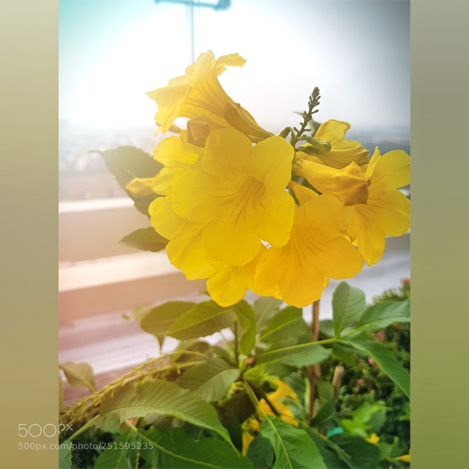Samsung Galaxy S7 Edge sample photo. Nature photography