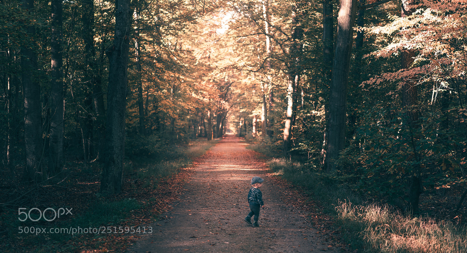 Sony a7R II sample photo. Http://weinheim.photos photography