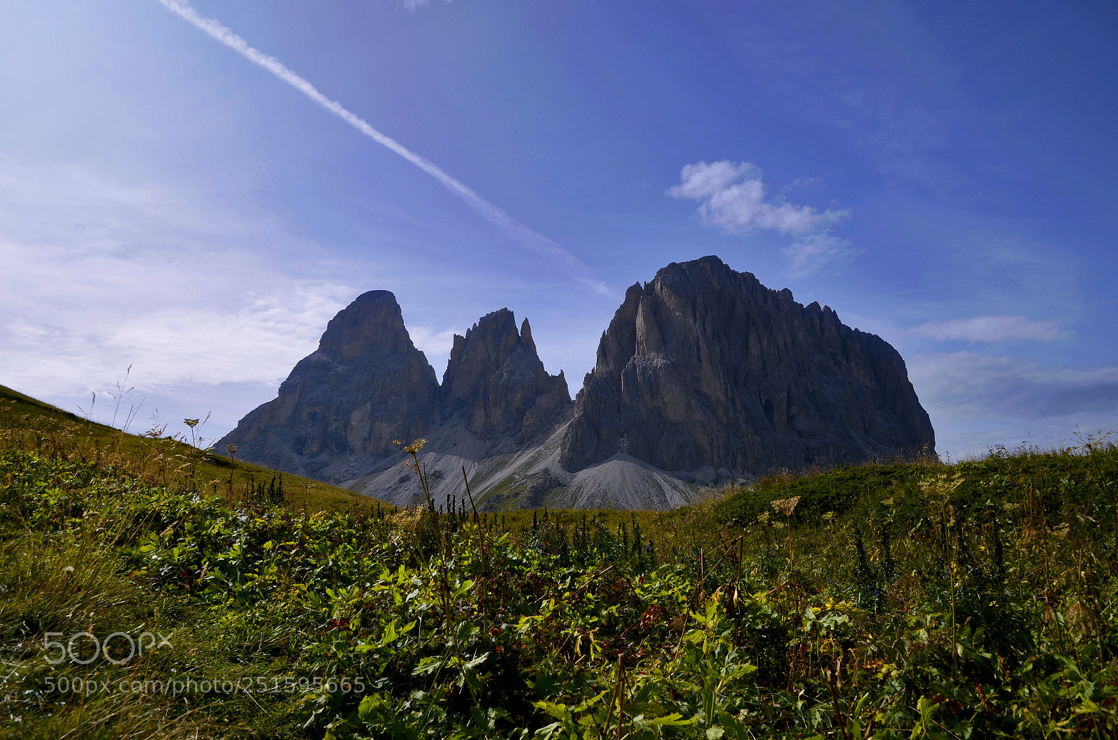Nikon D7000 sample photo. Day 37 - sasso photography