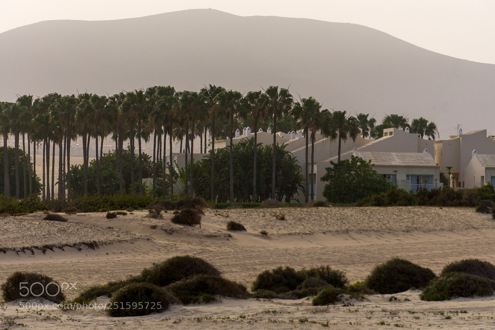 Sony a6000 sample photo. Fuerteventura march 2018 photography