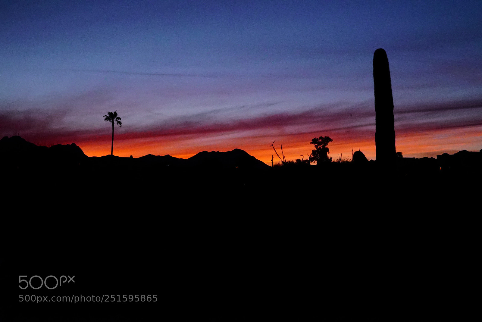 Sony a7S II sample photo. Dsc05169_2.jpg photography