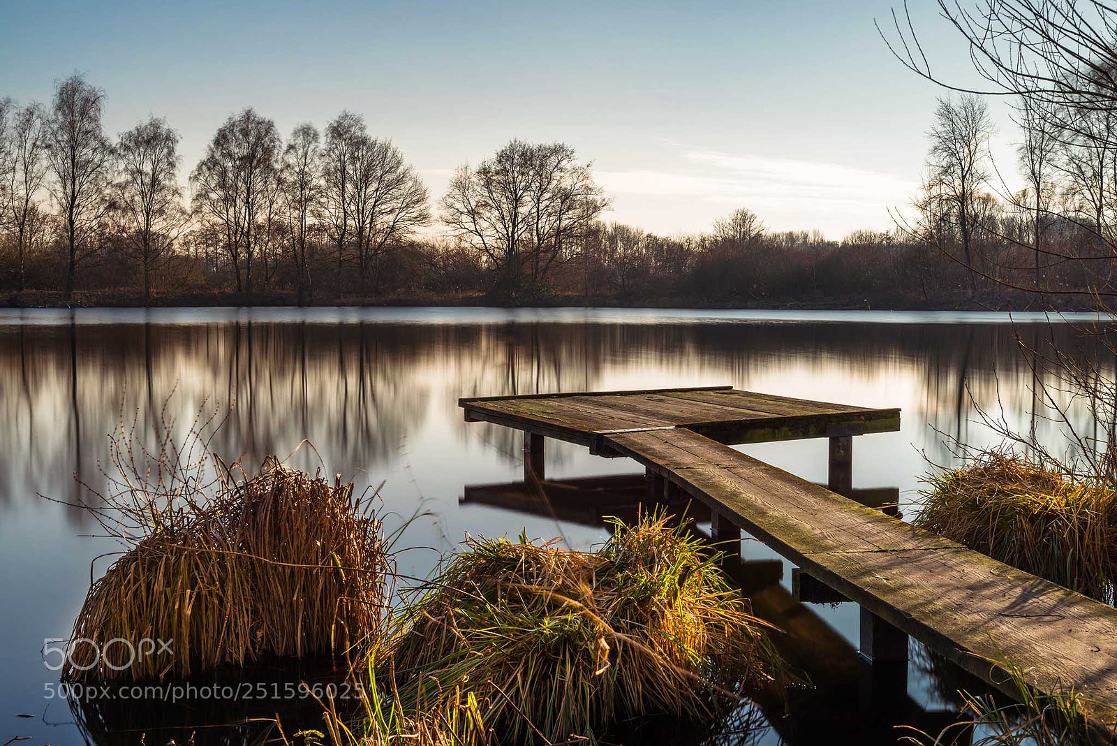 Nikon D800 sample photo. Borner see photography