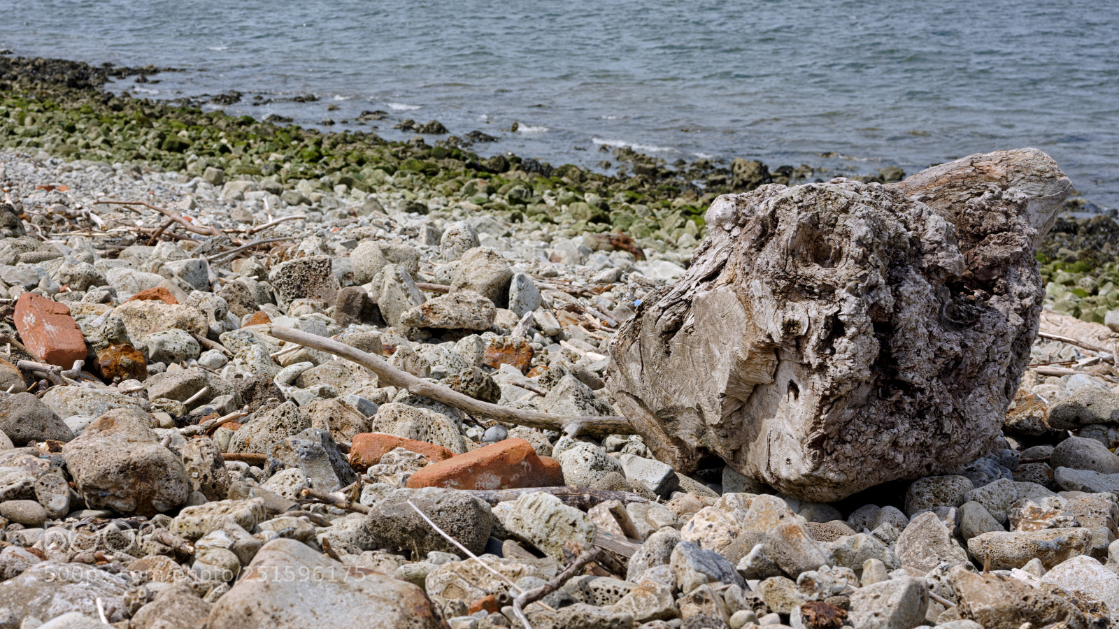 Fujifilm GFX 50S sample photo. Washed up photography