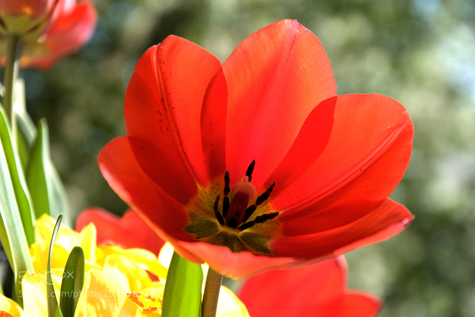 Nikon D5300 sample photo. Dsc_0325 -1.jpg photography