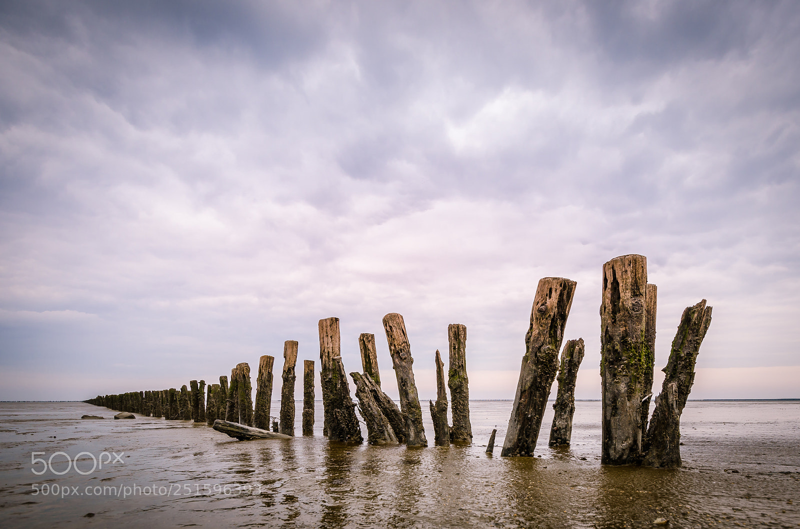 Nikon D7000 sample photo. Waddensea holland photography