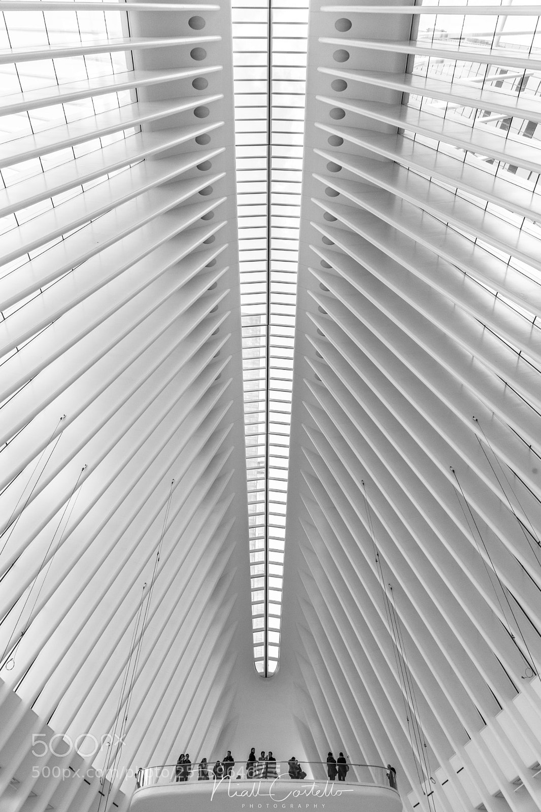 Canon EOS 5D Mark II sample photo. Gazing at the oculus photography