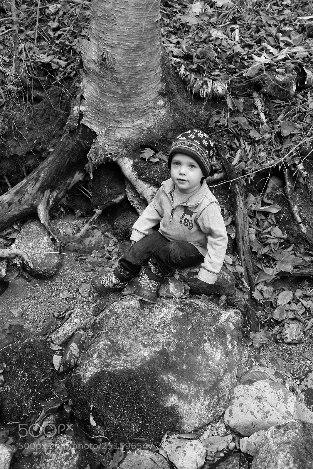 Canon EOS 600D (Rebel EOS T3i / EOS Kiss X5) sample photo. Hiking woods photography