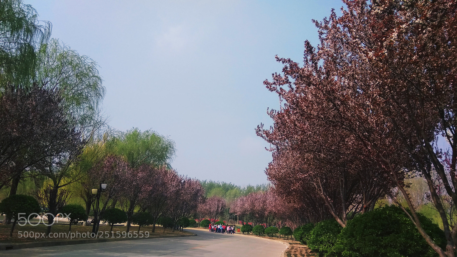 Xiaomi Redmi Note 4X sample photo. Untitled photography