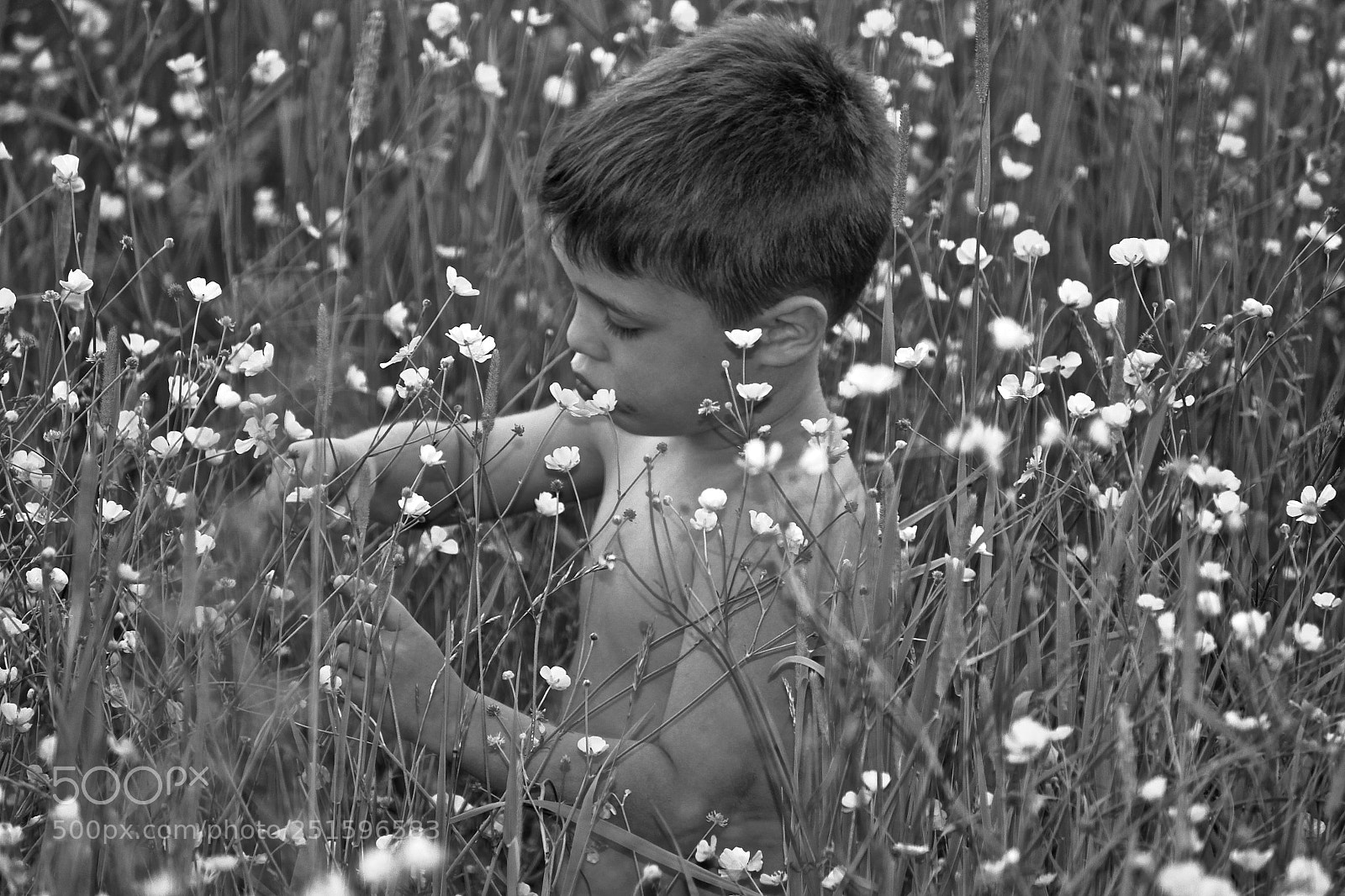 Canon EOS 600D (Rebel EOS T3i / EOS Kiss X5) sample photo. Buttercup photography