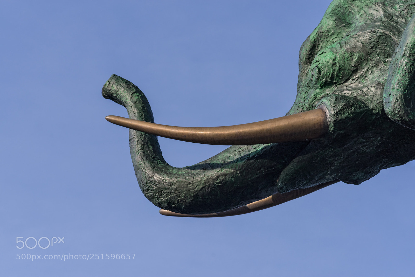 Pentax K-1 sample photo. Elefant photography