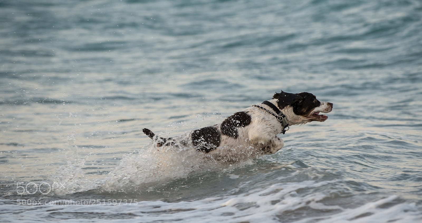 Nikon D850 sample photo. Wave jumping photography