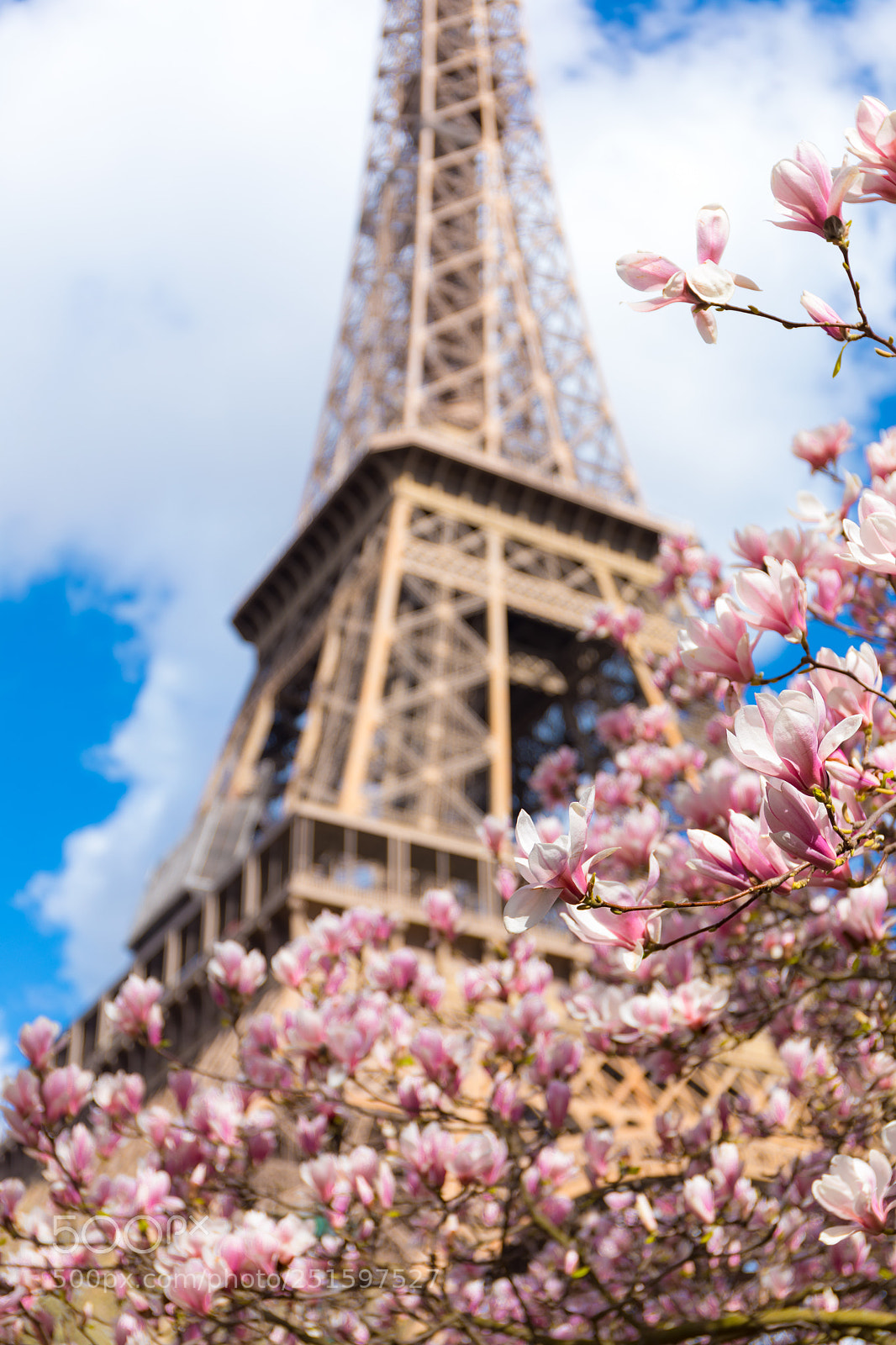 Canon EOS 5D Mark IV sample photo. Eiffel tower photography