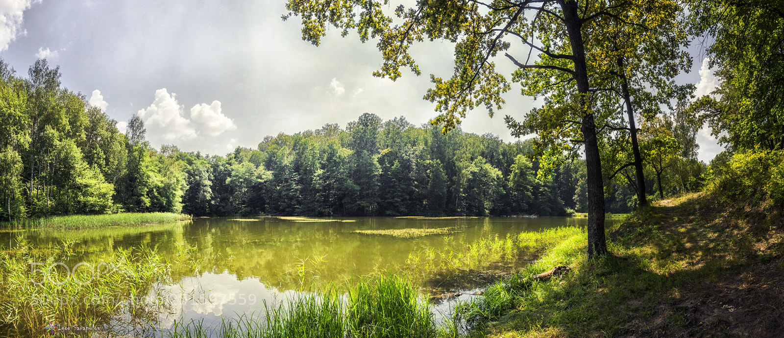 Sony Cyber-shot DSC-RX100 sample photo. Forest lake photography