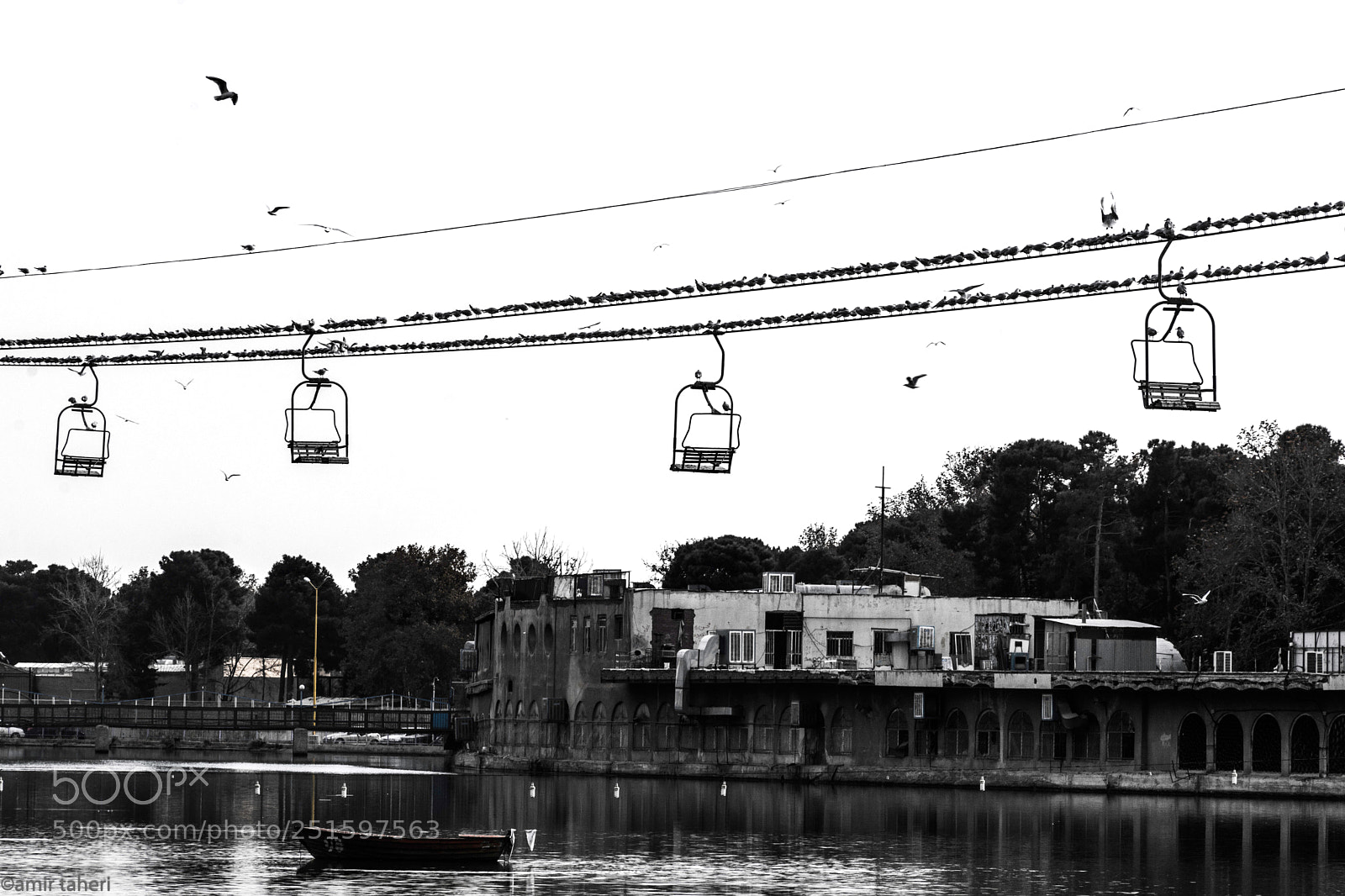 Nikon D7100 sample photo. Untitled photography