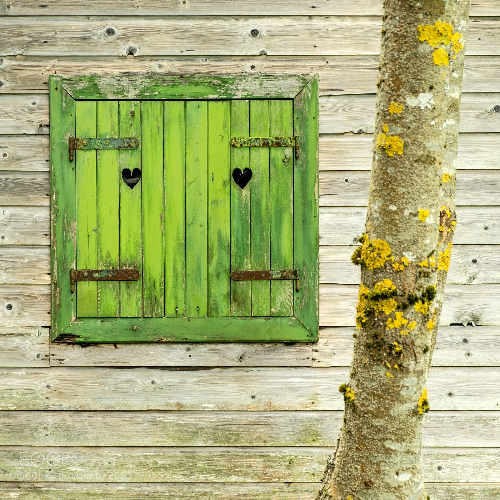 Fujifilm X-E2 sample photo. Love shack? photography