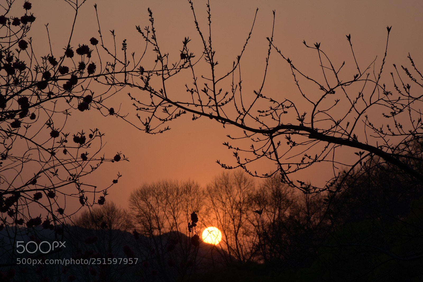 Nikon D7200 sample photo. Untitled photography
