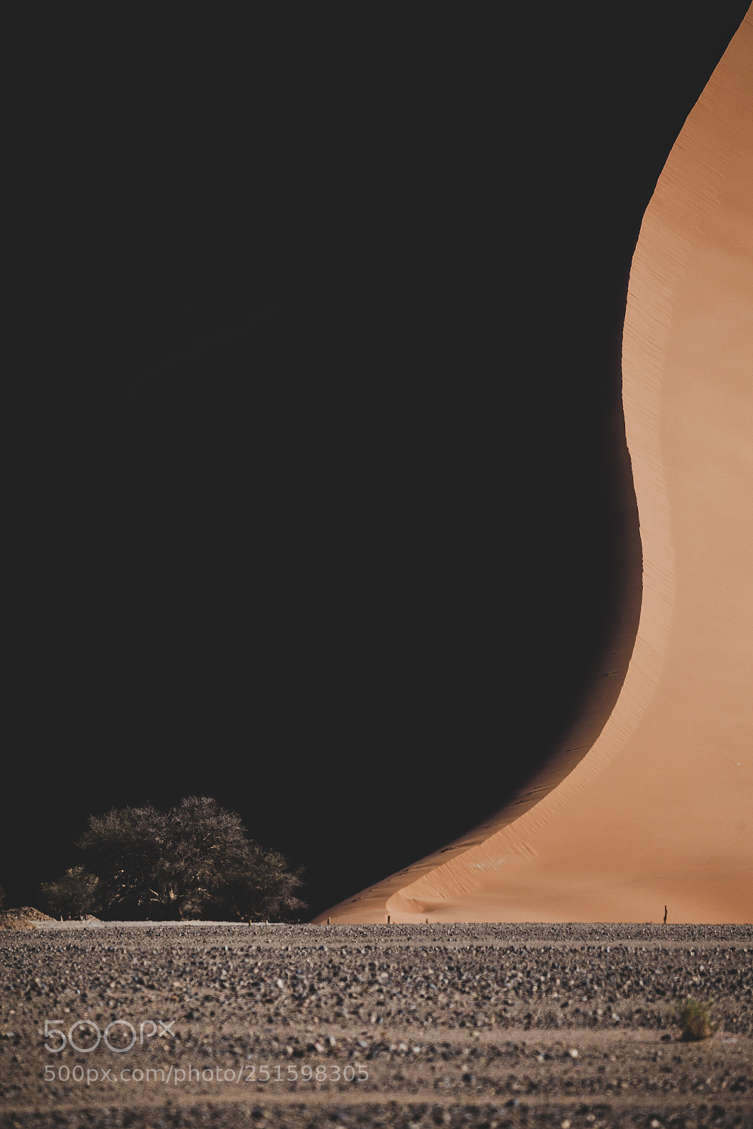 Canon EOS 5D Mark II sample photo. Another dune photography