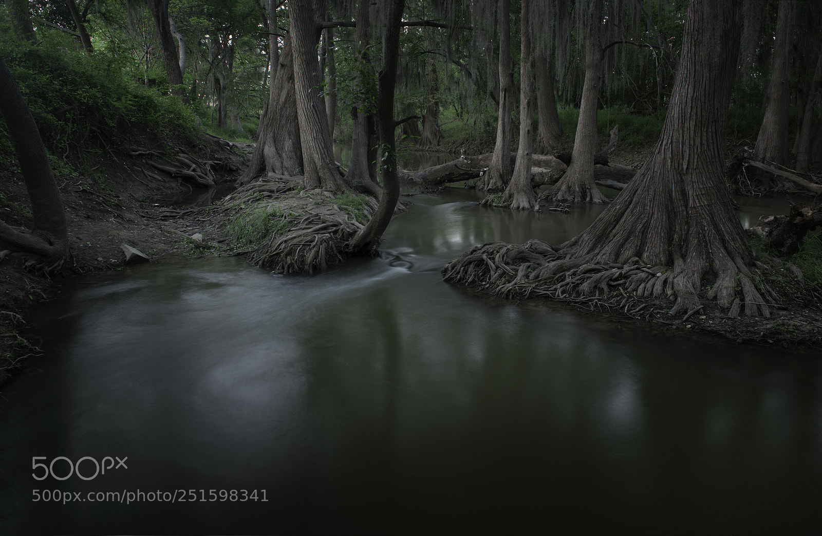 Nikon D850 sample photo. Medina river photography